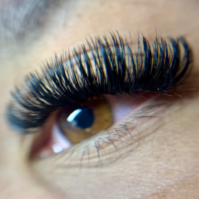 6-Month Mega/Volume Lash Fill at Jade Esthetics & Lashes in Lexington, OH