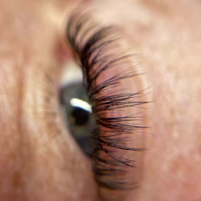 6-Month Lash Fill Package at Jade Esthetics & Lashes in Lexington, OH